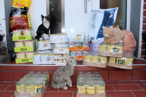 Futterpakete verschiedener Sorten auf Haustürstufen, dekoriert mit drei Katzenfiguren