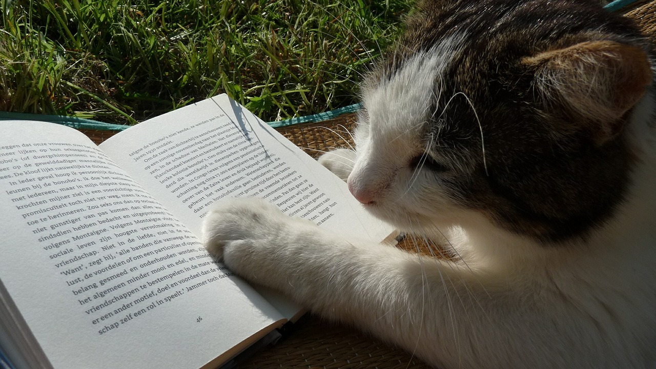 eine Katze liegt im Gras, vor sich ein aufgeschlagenes Buch, eine Pfote liiegt auf der Buchseite