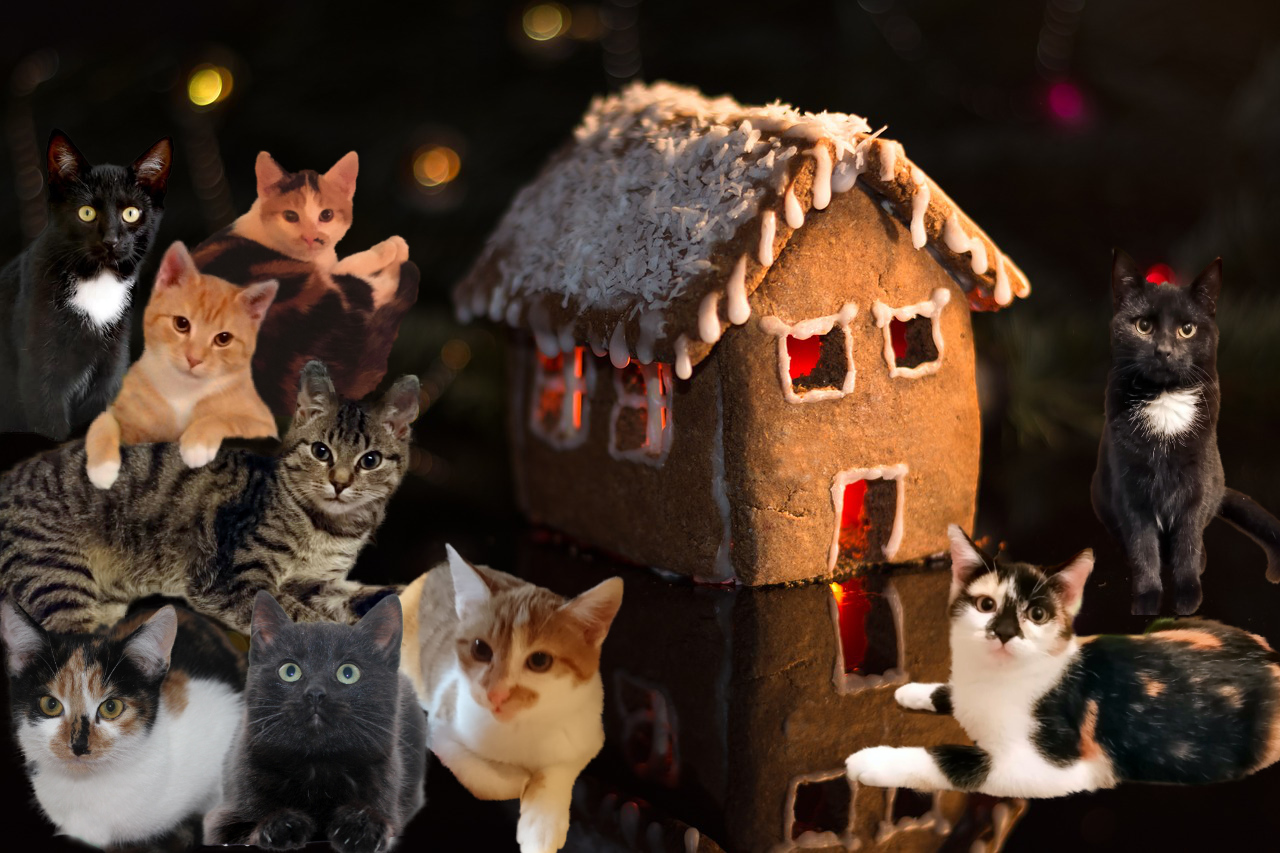 eine Gruppe von Katzen gruppiert um ein Lebkuchenhaus